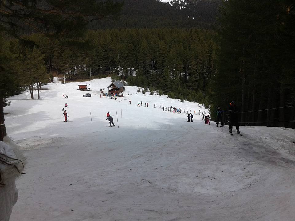 Зимни спортове 1