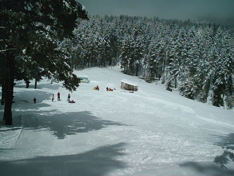 Зимни спортове 3