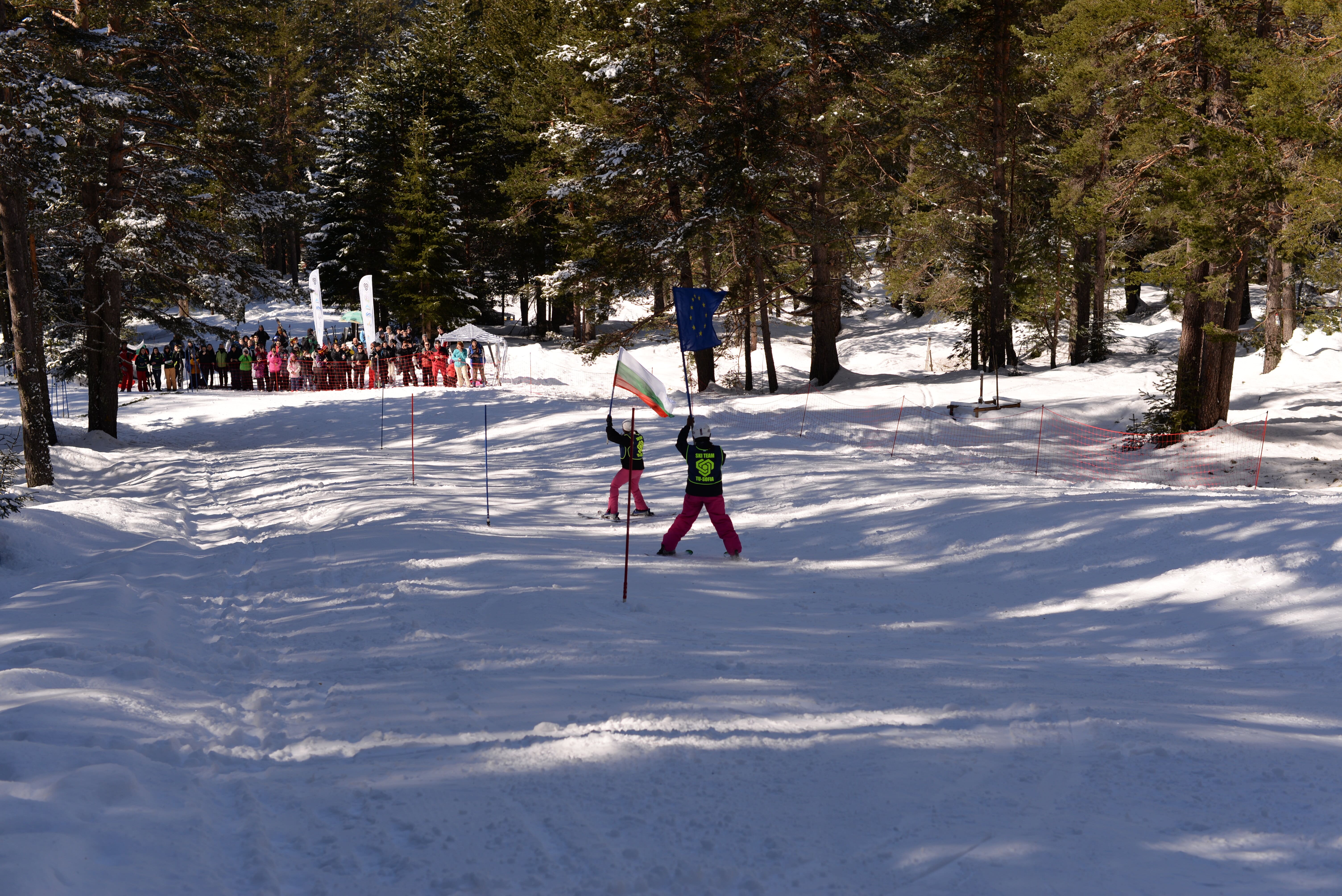 Зимни спортове 4