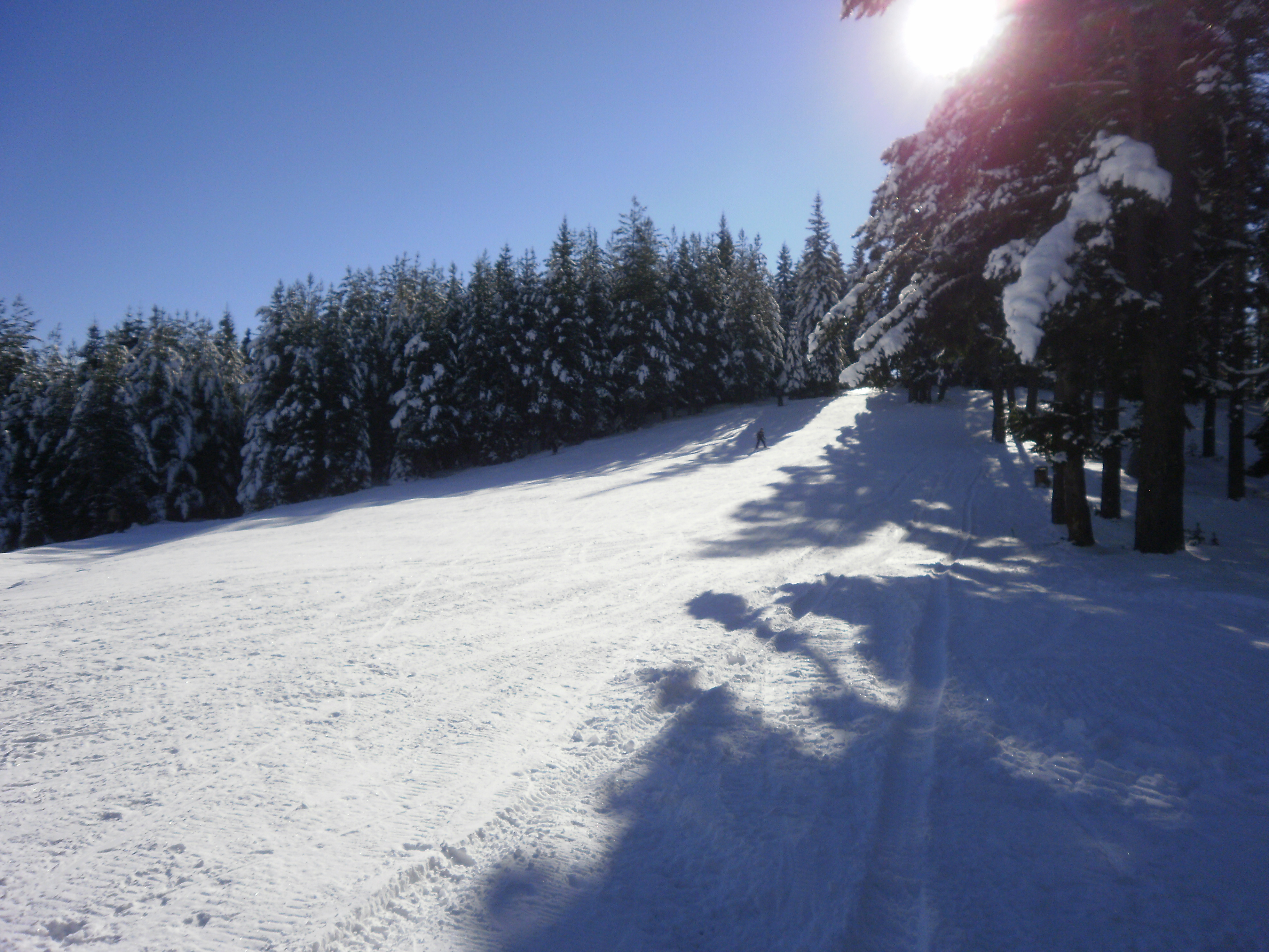 Зимни спортове 5